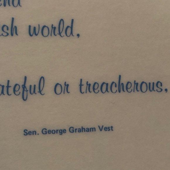 NWT Reversible Pet Bowl Dog food or water Plasticized Floor Placemat! - Picture 8 of 16